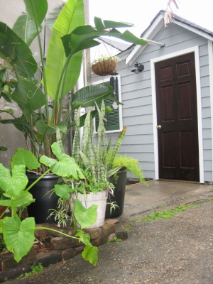 Darin's Bungalow